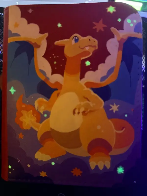 Binder Pokémon personnalisé peint à la main, phosphorescent, Dracaufeu