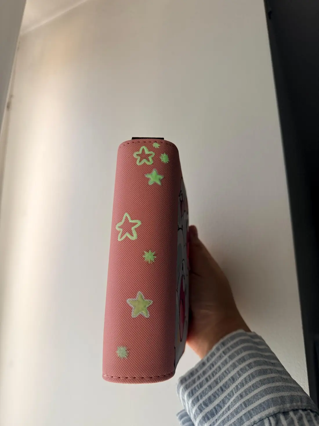 Binder Pokémon personnalisé peint à la main, Famignol Shiny